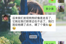 平鲁融资清欠服务